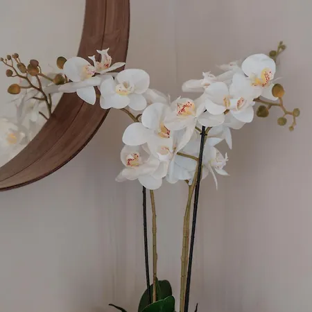 Luxury House With Private Pool At Elia Elia (Mykonos)